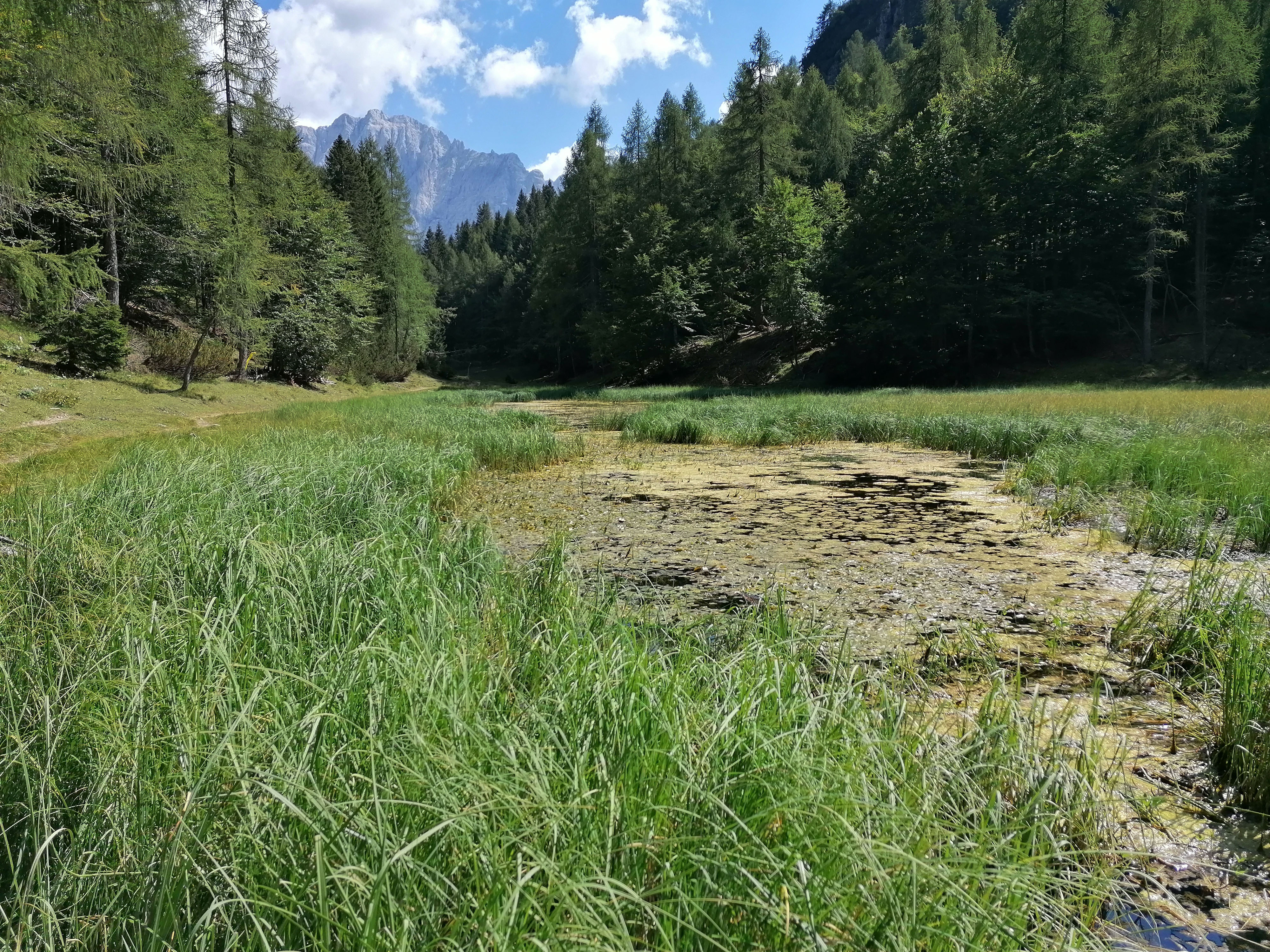 Il laghetto di Somdogna