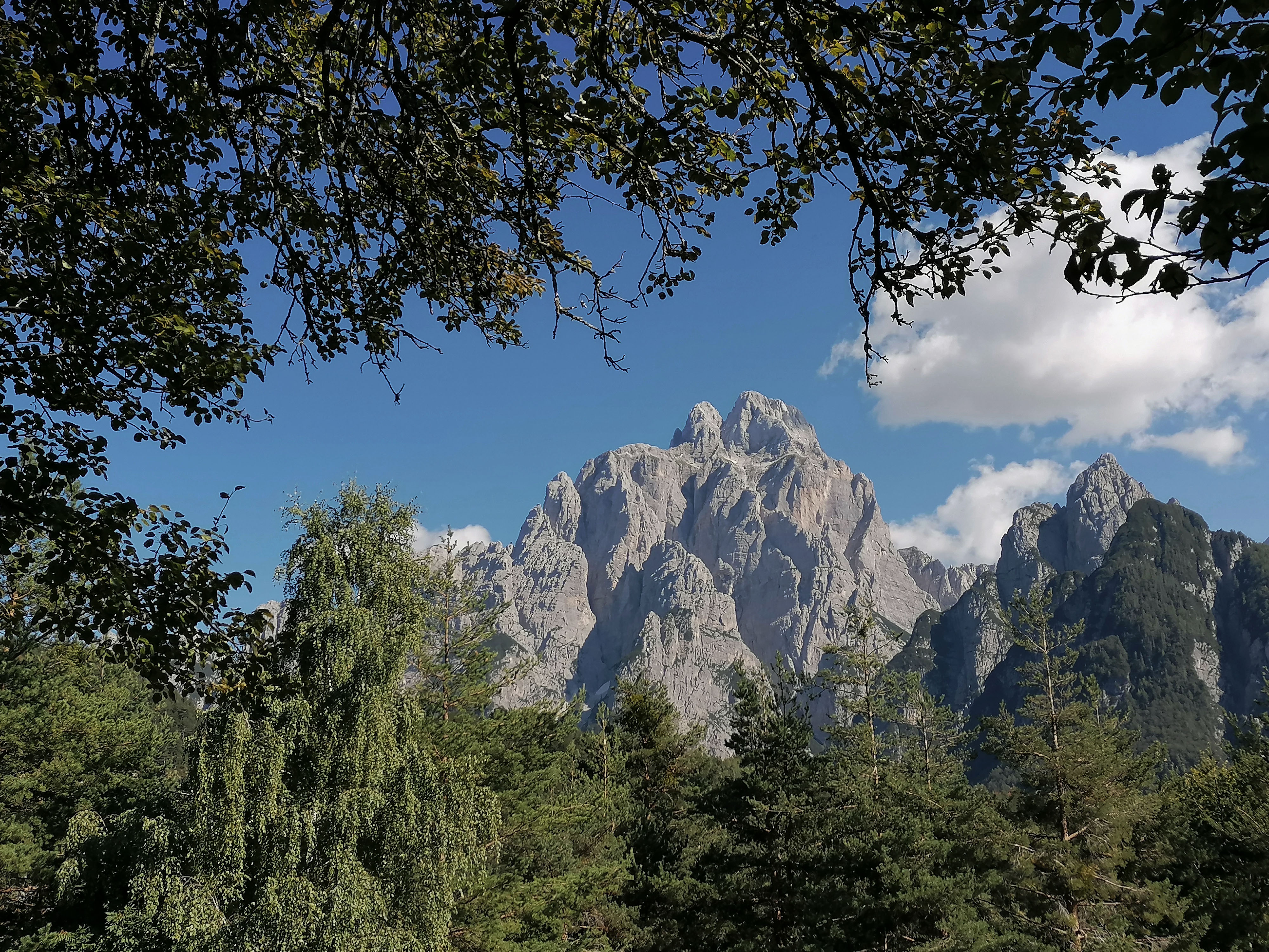 Il Montasio visto da Mincigos