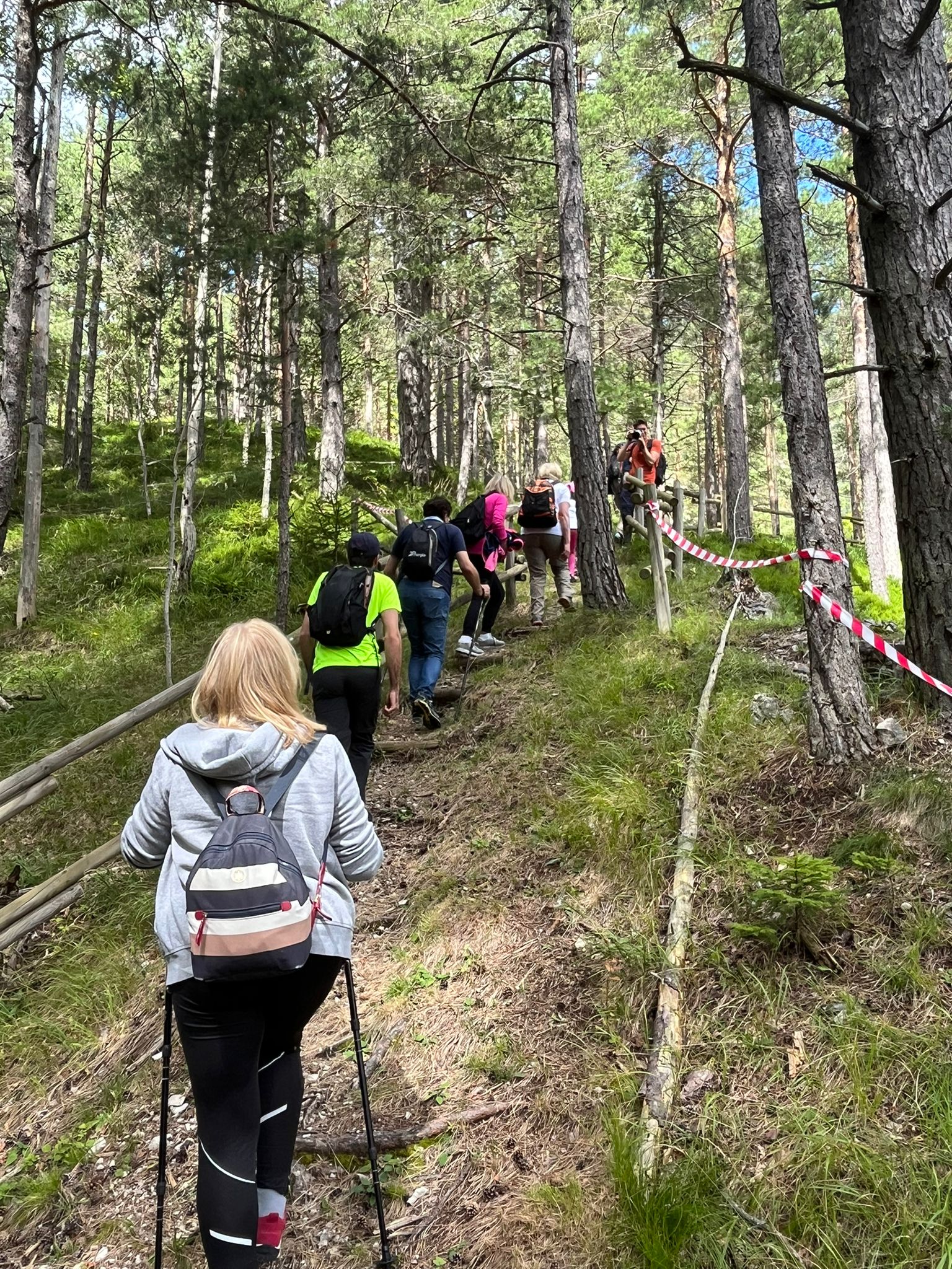 Visita guidata alla Linea dei Plans